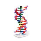 Modelo do ADN