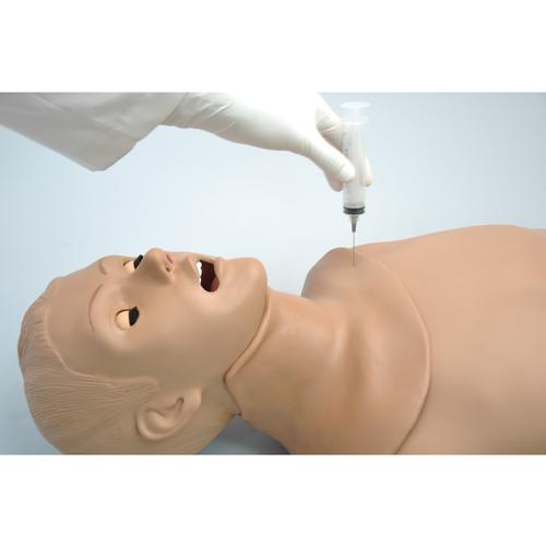 HAL® Torso para intubação e RCP, 1019856, Gestão das vias aéreas adulto
