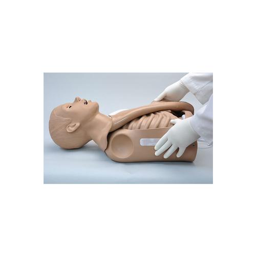 Simulador de Tronco CPR Simon® OMNI®, 1022057, SBV Adulto