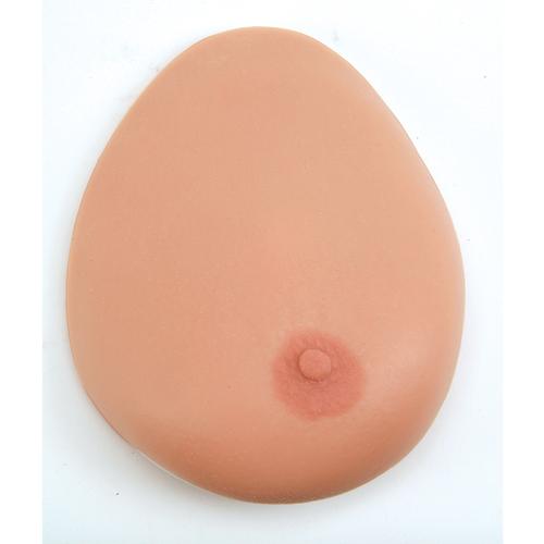 Modelo para o exame das mamas, três mamas individuais com suporte, 1000344 [L55], Educação: Saúde da Mulher