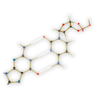 Kit de bioquímica para estudantes, 260, Orbit™, 1005304 [W19803], Conjunto de montagem de moléculas