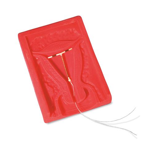 Modelo para a introdução de dispositivos intrauterinos, 1005766 [W44615], Simuladores de demonstração do uso de preservativos