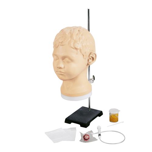 Simulador de Diagnóstico e Processual para Ouvidos, 1017258 [W44747], Exame Otorrinolaringológico