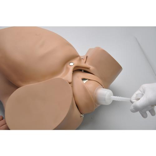 Modelo de feto para parto por vácuo-extração, 1005791 [W45026], Obstetrícia