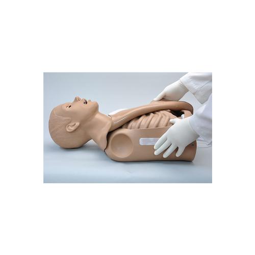 Simulador de Tronco CPR Simon, 1005819 [W45117], SBV Adulto