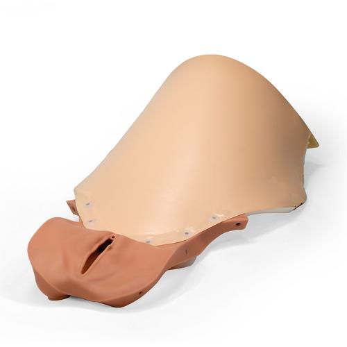 Vagina e cobertura abdominal para o Simulador HPP P97, 1021577 [XP97-004], Peças de reposição
