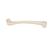 Fêmur, 1019360 [A35/1], Modelos de esqueletos da perna e pé (Small)