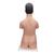Torso japonês, masculino e feminino, em 18 partes, 1000199 [B32/4], Modelo de torso (Small)