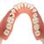 Doença dental, ampliado 2 vezes, em 21 partes, 1000016 [D26], Modelos dentais (Small)