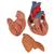 Coração clássico com timo, 3 partes, 1000265 [G08/1], Modelo de coração e circulação (Small)