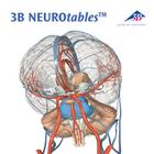 NEUROtables™ 3B Francês,S0290