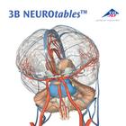 NEUROtables™  3B Francês,S0290