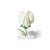 Ervilha (Pisum sativum), modelo, 1000535 [T21026], Plantas dicotiledôneas (Small)