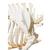 Esqueleto de porco domêstico (Sus scrofa domesticus),  masculino, preparado, 1020998 [T300131m], Gado (Small)
