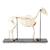 Esqueleto de cavalo (Equus ferus caballus), masculino, preparado, 1021003 [T300141m], Gado (Small)