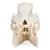 Crânio de porco domêstico (Sus scrofa domesticus),  masculino, preparado, 1021001 [T300161m], Gado (Small)