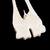 Ossos mêdios da mão e do pê de mamífero, 1021047 [T30055], Anatomia Comparativa (Small)