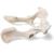Cachorro (Canis lupus familiaris), pelve, 1021062 [T30065], Osteologia (Small)
