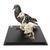 Pombo e esqueleto de pombo (Columba livia domestica), em vitrine, preparados, 1021040 [T310051], Ornitologia (pássaros) (Small)