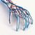 Braço Vascular, 1005109 [W19019], Modelos de esqueletos do braço e mão (Small)