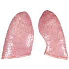 Reposição do pulmão, 2 partes, 1020682 [XB031], Peças de reposição